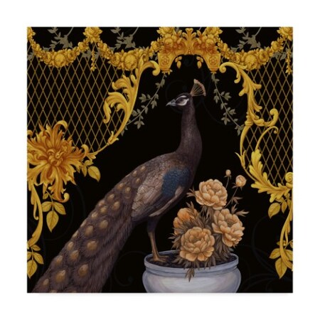 Maria Rytova 'Black Peacock' Canvas Art,14x14